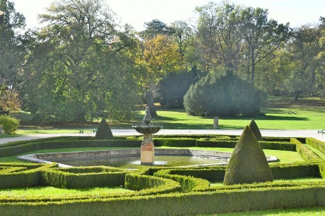 Botanikai séták - ébredő természet a Károlyi Kastélyparkban